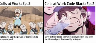 Image result for Cells at Work Memes