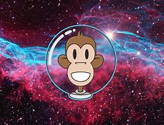 Image result for Galaxy Monkey