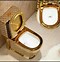 Image result for 24K Gold Toilet