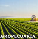 Image result for agrodisiaco
