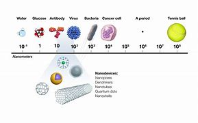 Image result for How Big Is a Cell Compared to 1 Nanometer