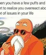 Image result for The Stoned Age Memes