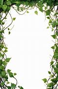 Image result for Cool White Background with Vine