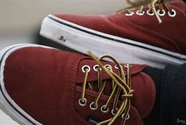 Image result for Vans Shoes Aesthetic