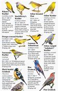 Image result for Birds of New Mexico Field Guide