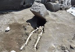 Image result for Pompeii Dog Skeleton