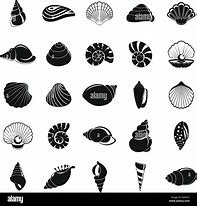 Image result for Shell Icon Vector