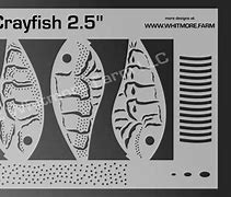 Image result for Squid Stencil