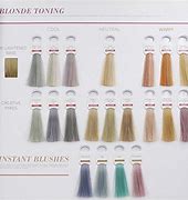 Image result for Schwarzkopf Hair Color Swatches