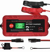 Image result for 6 and 12 Volt Battery Charger