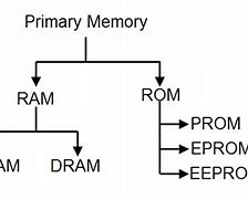 Image result for Origin of Memory