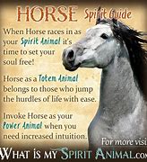Image result for Horse Spirit Animal