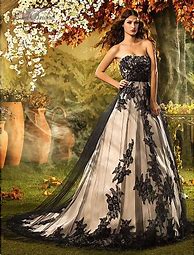 Image result for Black and Champagne Wedding Dress