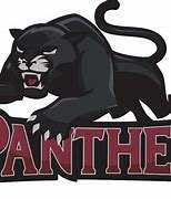 Image result for Panther School Logo
