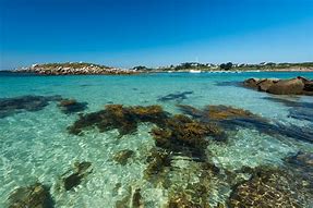 Image result for ile de batz