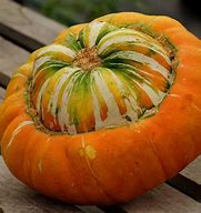 Image result for Green Different Squash Types