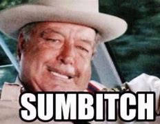 Image result for Smokey and the Bandit Happy Birthdaysombitch
