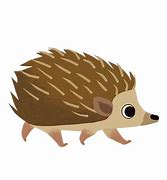 Image result for Porcupine and Hedgehog