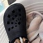 Image result for Dog with Croc On Head Meme
