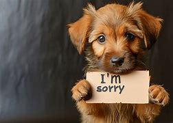 Image result for Sorry Cute Animal