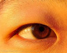 Image result for Sharp Eyes China