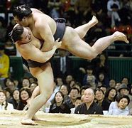 Image result for South Korean Sumo Wrestlers