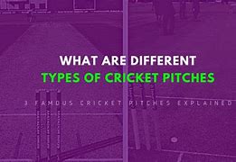 Image result for Fall Field Cricket