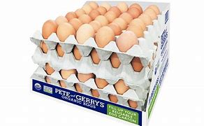 Image result for Egg Carton Packaging