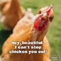 Image result for Drinking with Chickens Memes