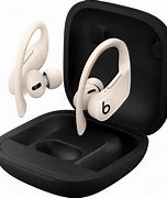 Image result for Beats Power Beats Pro Totally Wireless Earphones