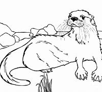 Image result for Printable Otter Pictures