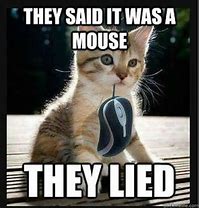 Image result for Cat Opening Wireless Mouse Meme