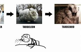Image result for Cranky Cat Evolution Meme