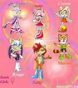 Image result for All-Female Sonic Characters