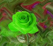 Image result for Blue Diamond Rose in Bud
