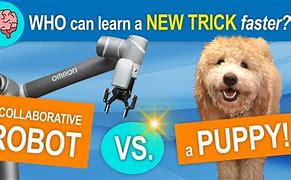 Image result for Puppy vs Robot