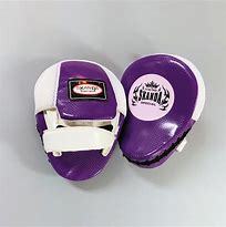 Image result for Boxing Matches