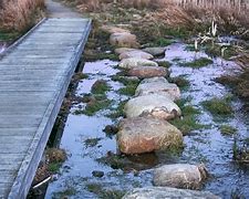 Image result for Crafting Stepping Stones