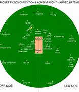 Image result for Cricket Cutter Bowl