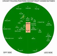 Image result for Cricket Cutter Bowl