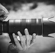 Image result for Best Camera Lens for Equine Photography