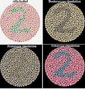 Image result for Visual Perception Tests