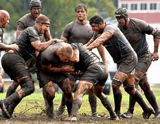 Image result for Fiji Rugby World Cup