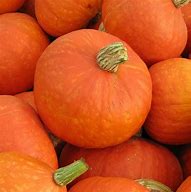 Image result for Red Squash Types