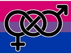 Image result for bisexual