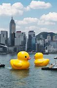 Image result for Wooden Rubber Duck Hong Kong