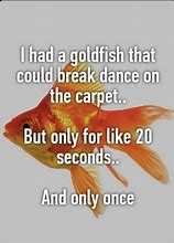 Image result for Goldfish Meme