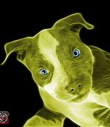 Image result for Pit Bull Phone Case