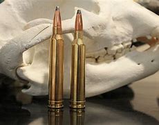 Image result for 7Mm X 300 Win Mag