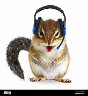 Image result for Funny Animal On Phone